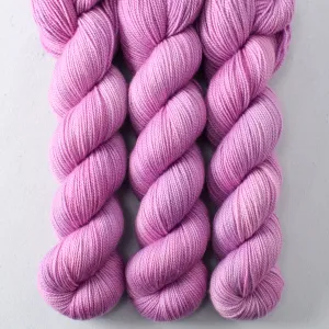 Abendrosa - Yummy 2-Ply