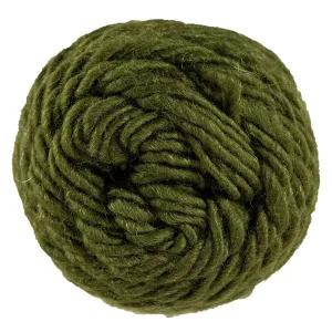 Brown Sheep Lamb's Pride Worsted Yarn - M113 Oregano