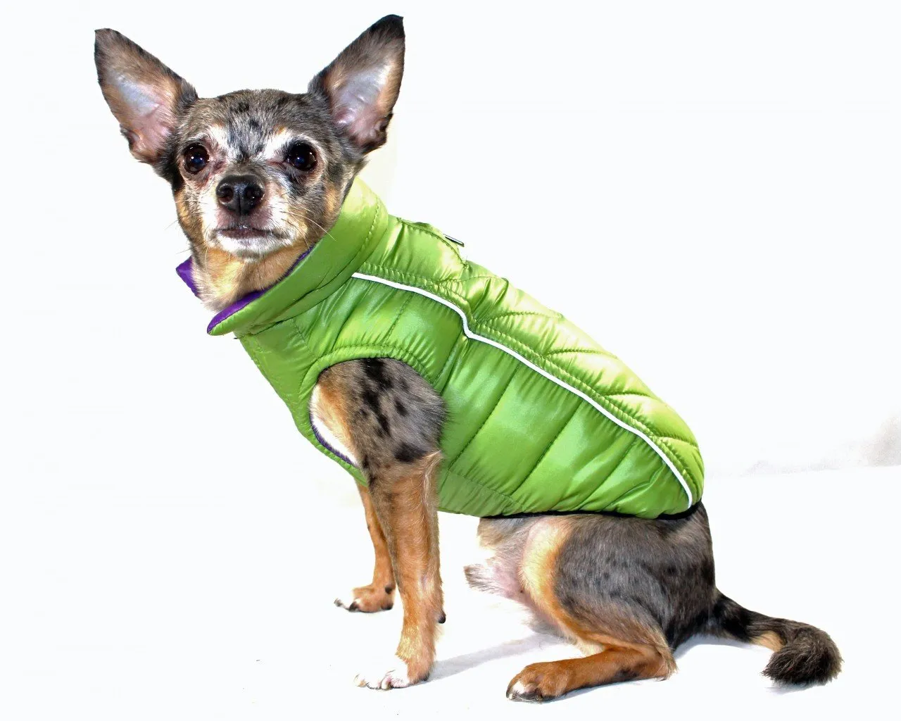 Reversible Winter Dog Jacket - Hip Doggie Featherlite Reversible-Reflective Puffer Vest Green/Purple