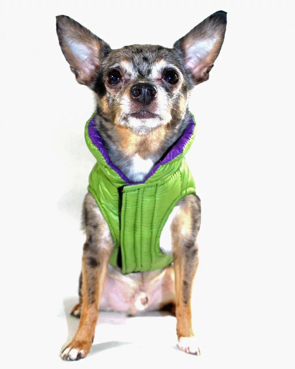 Reversible Winter Dog Jacket - Hip Doggie Featherlite Reversible-Reflective Puffer Vest Green/Purple